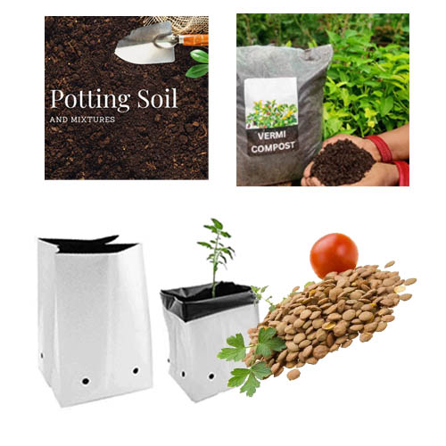 Kit with Tomato Seeds